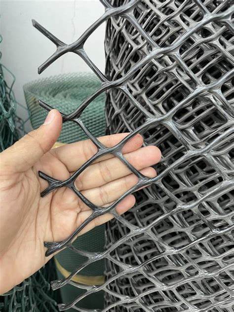 شبوك الرياض